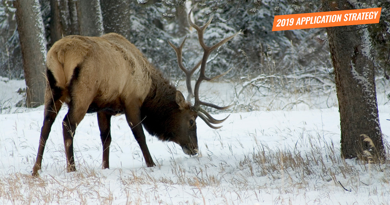 APPLICATION STRATEGY 2019 Montana Elk