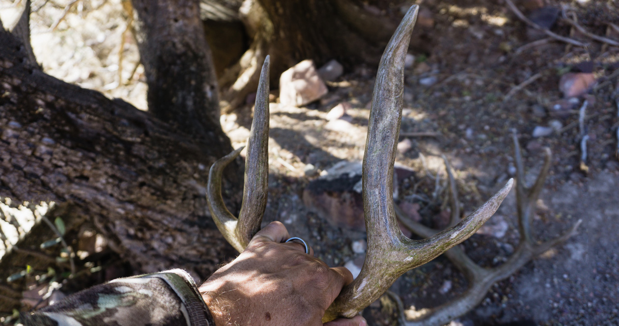 Late season Arizona overthecounter deer opportunities // GOHUNT. The