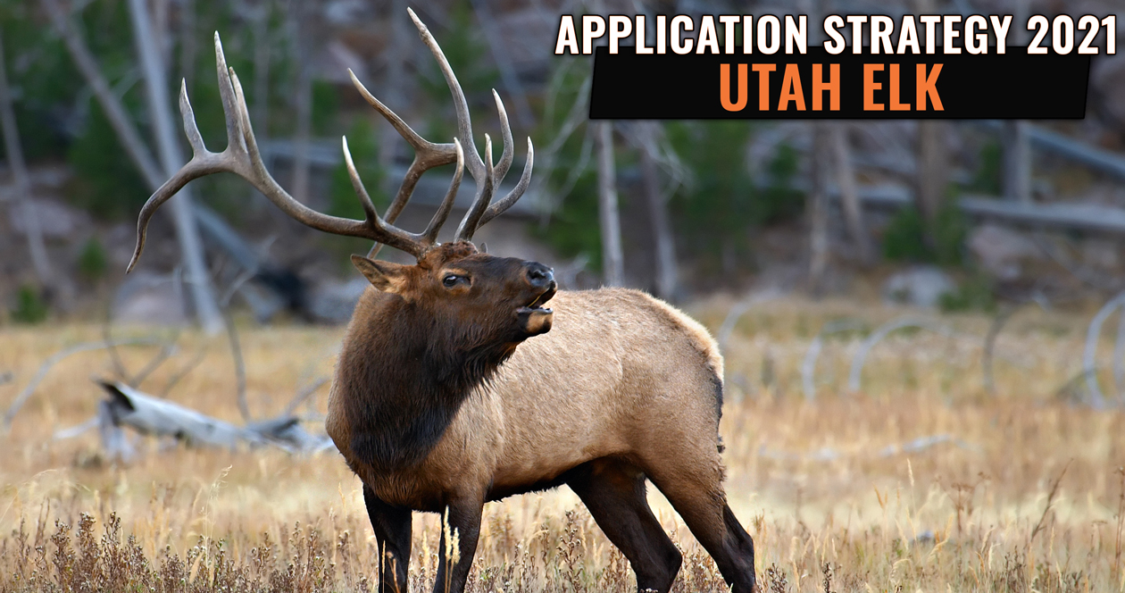 APPLICATION STRATEGY 2021 Utah Elk // GOHUNT. The Hunting Company