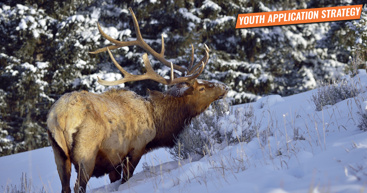YOUTH APPLICATION STRATEGY — Take Your Kids Hunting Part 3 // GOHUNT