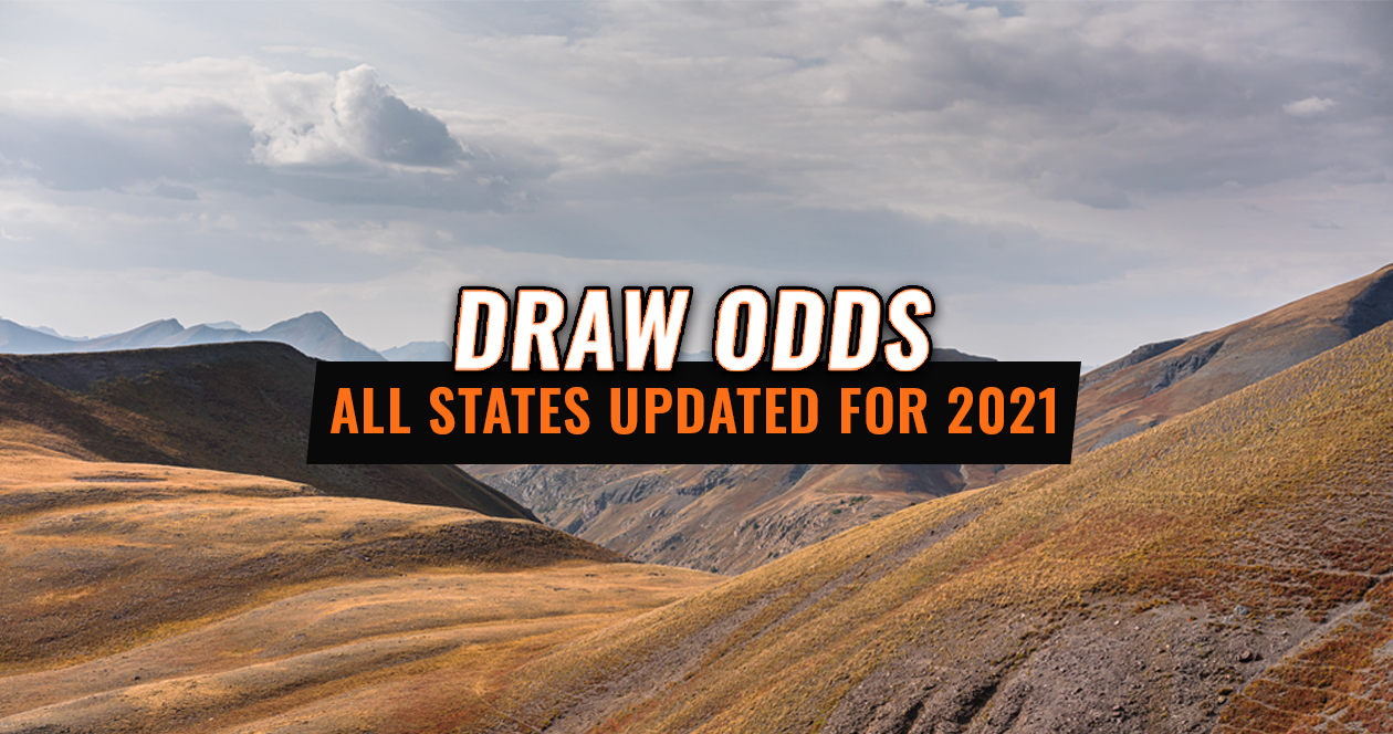 INSIDER Update All States Now Have Updated Draw Odds For 2021