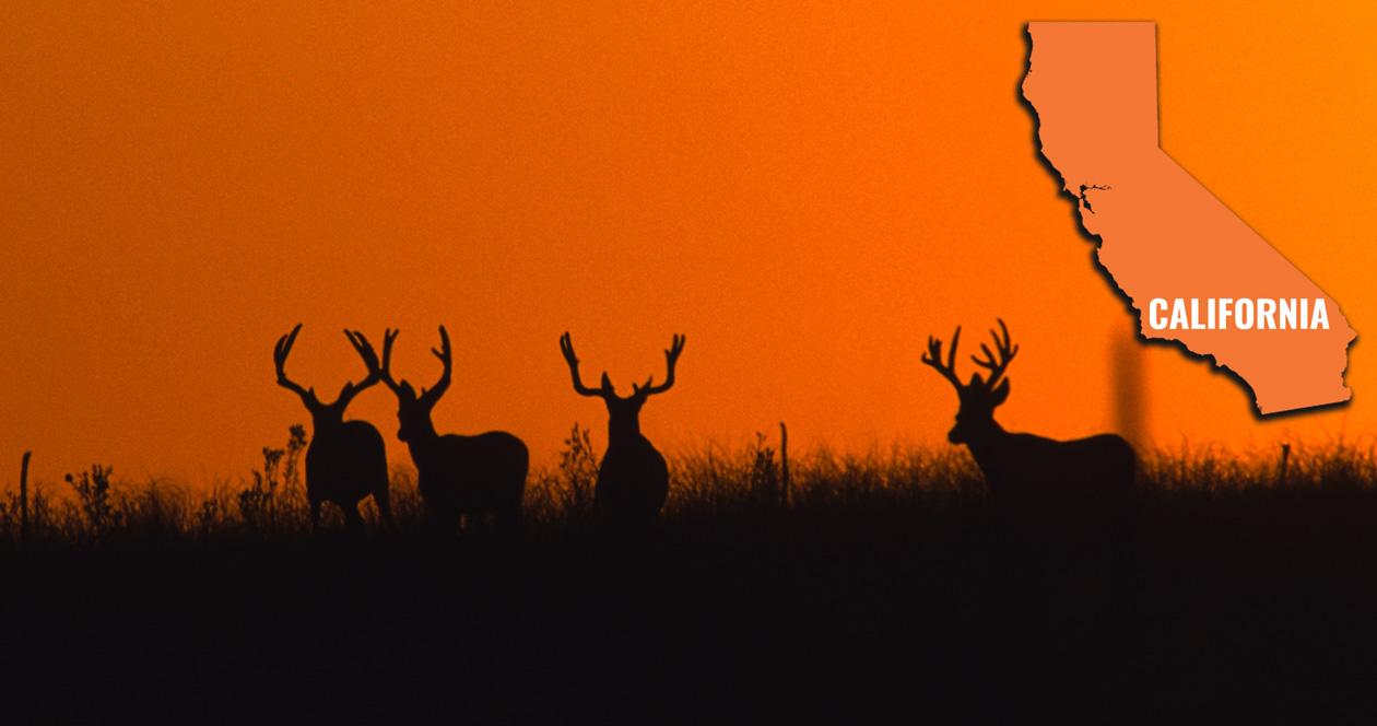 How to look up your California preference points // GOHUNT. The Hunting