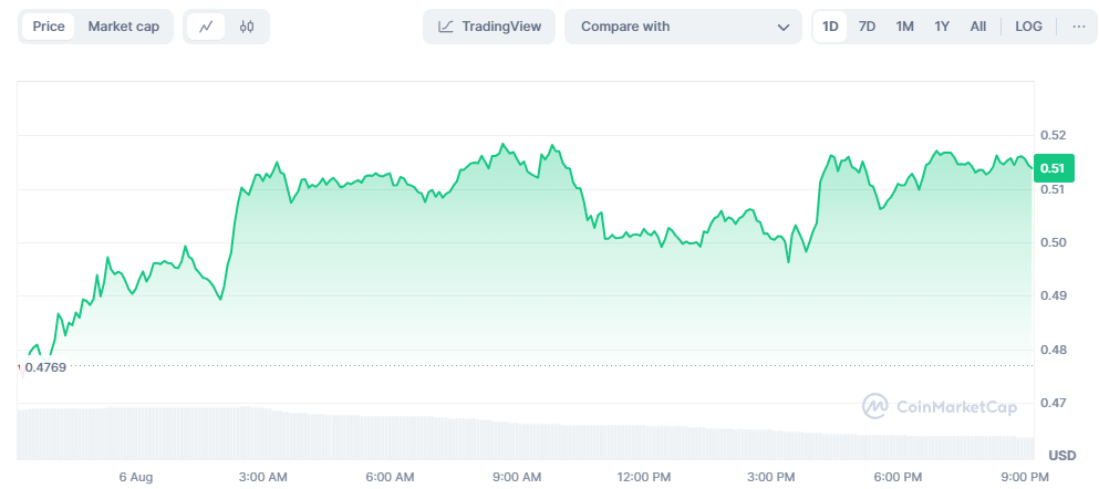 Whales Continue to Buy XRP