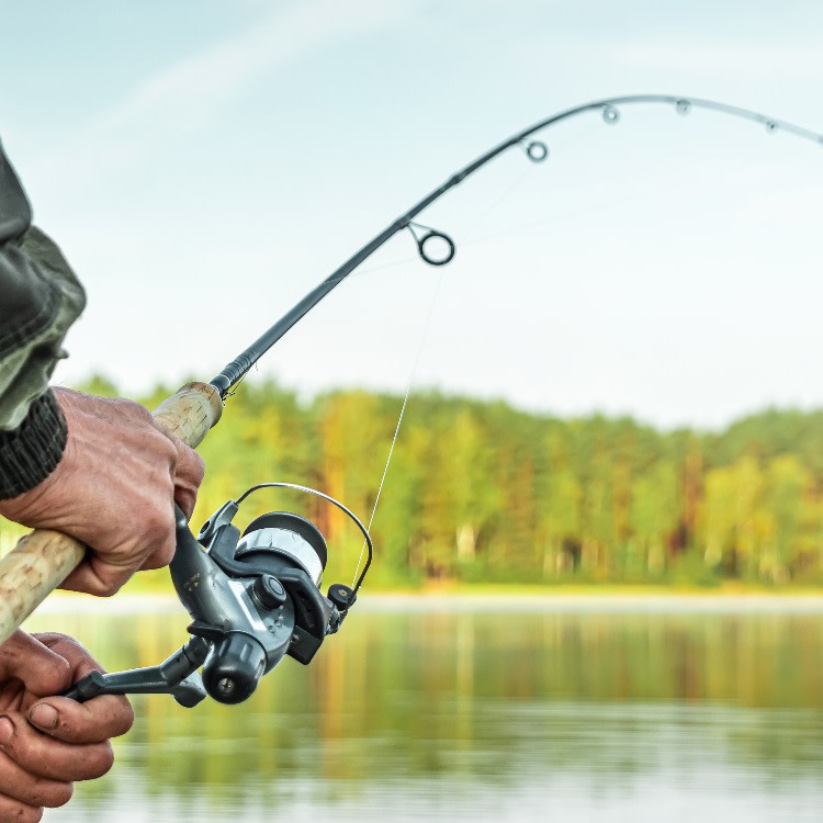 How much does a fishing pole cost? What to spend and where to save