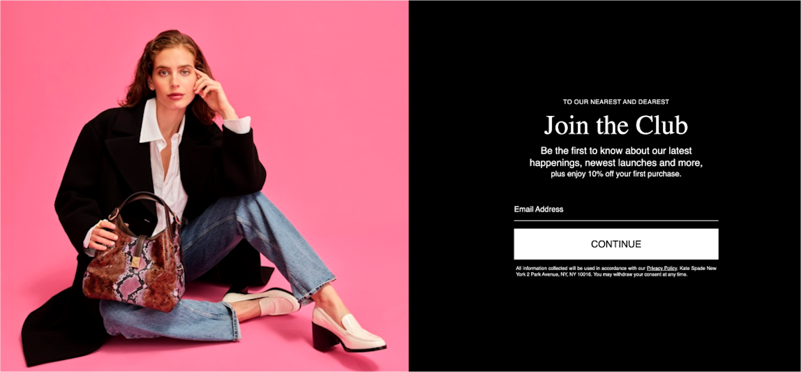 Newsletter signup from top merchant