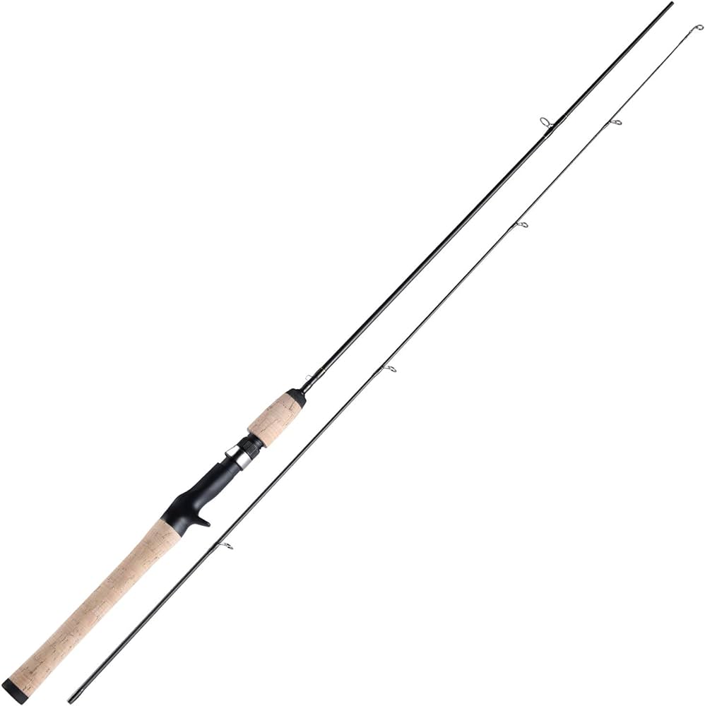 Graphite Fishing Rod