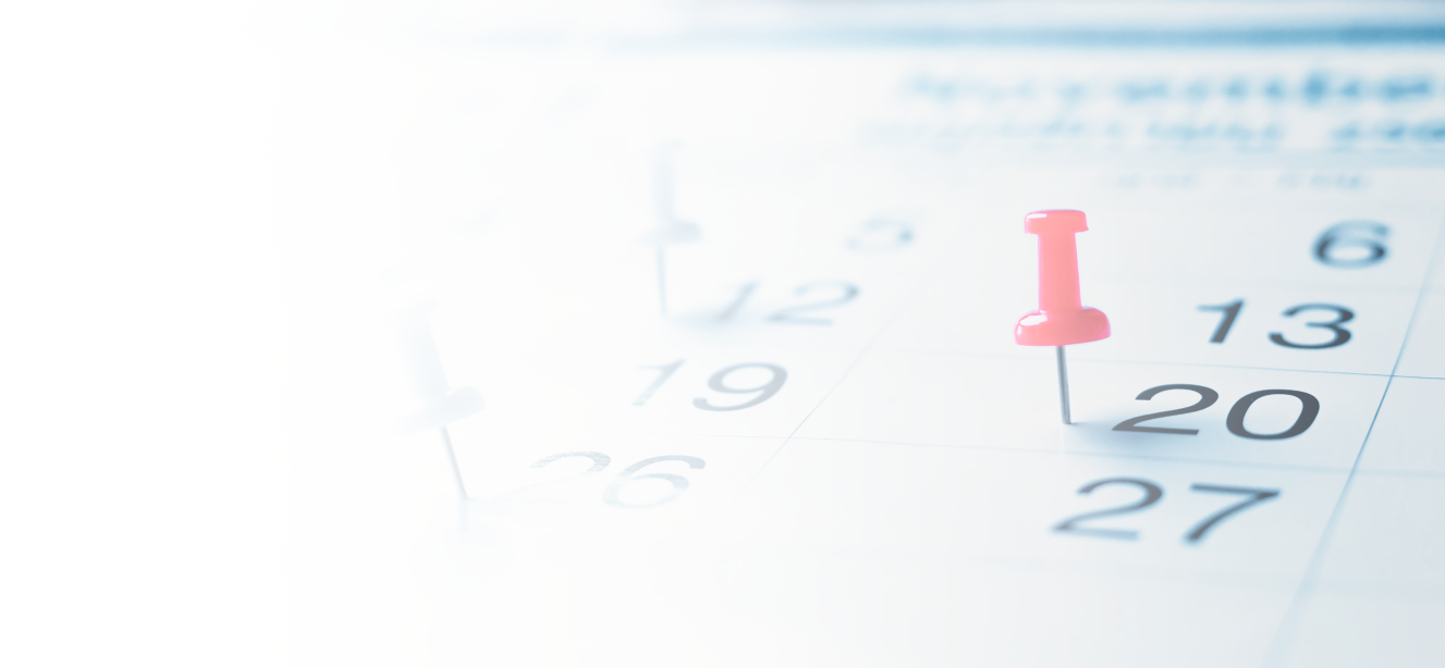 Ultimate shopping calendar: Your month-by-month guide to the best sales and discounts