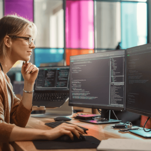 Software developer