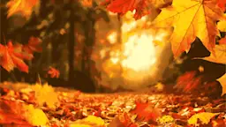 精选80句形容秋天的成语与谚语