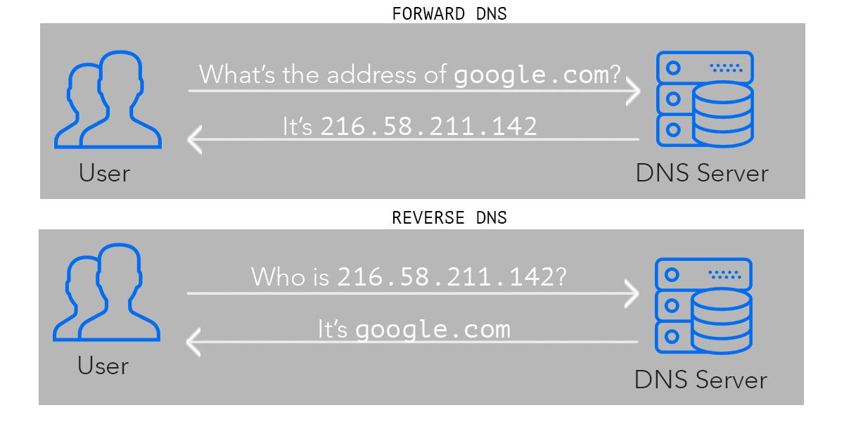 What is Reverse DNS Lookup & Why Should You Care?