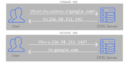 Difference Between Forward And Reverse Lookup Dns Query Uploadwho