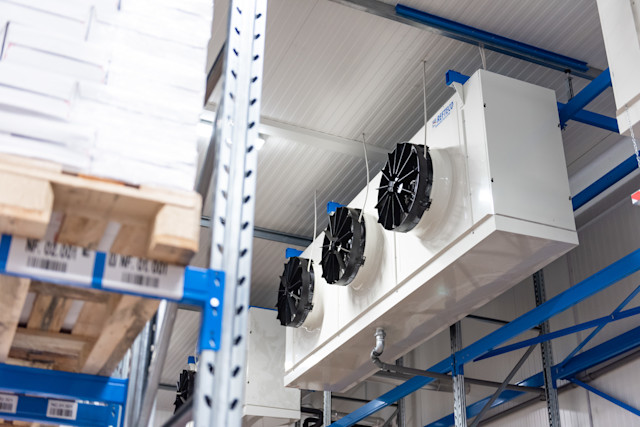 Freezing and Preserving