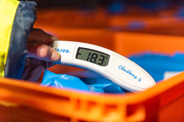 La guida alle temperature alimentari: le normative