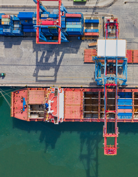 Doganale-deposito-iva