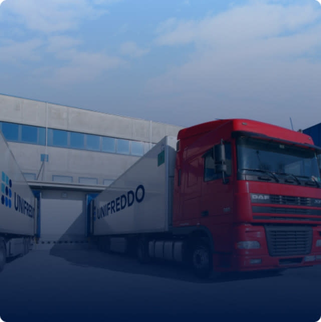 Frozen Product Delivery: the transports