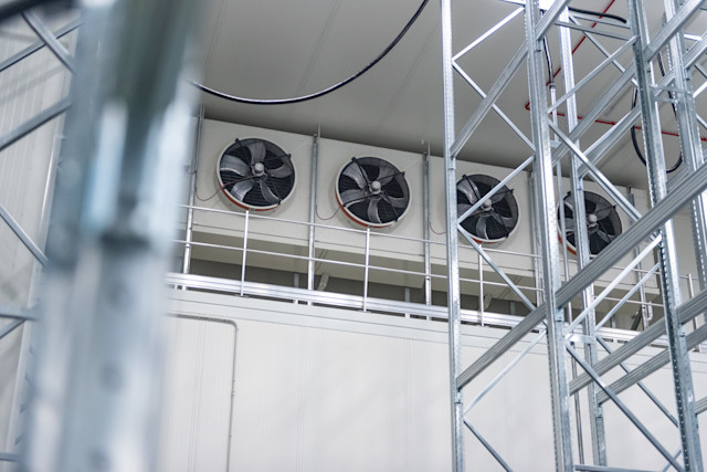 Massimizza la sicurezza degli alimenti: le strategie 