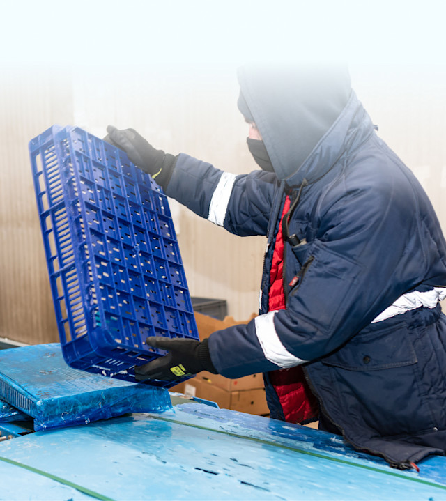 Gallery-header-02 - servizi