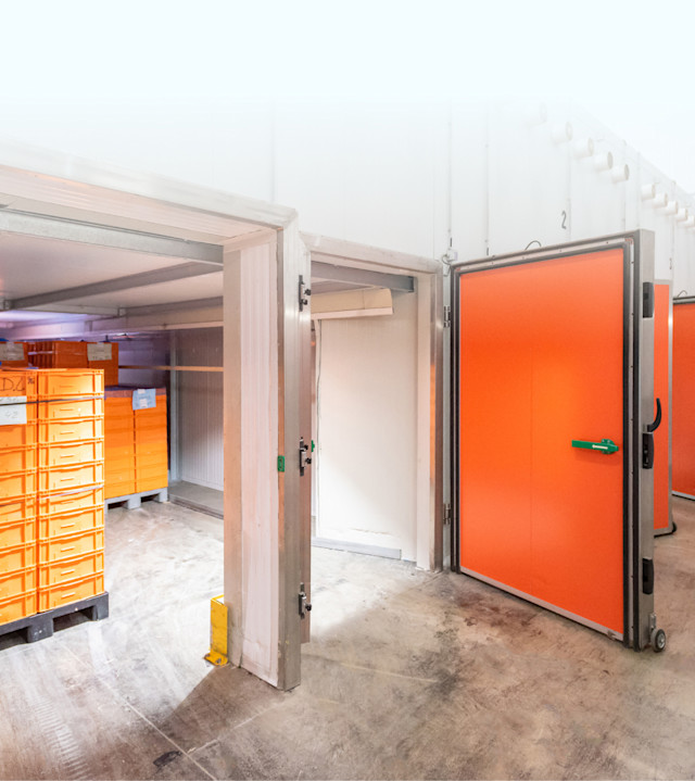 Gallery-header-01 - tunnel