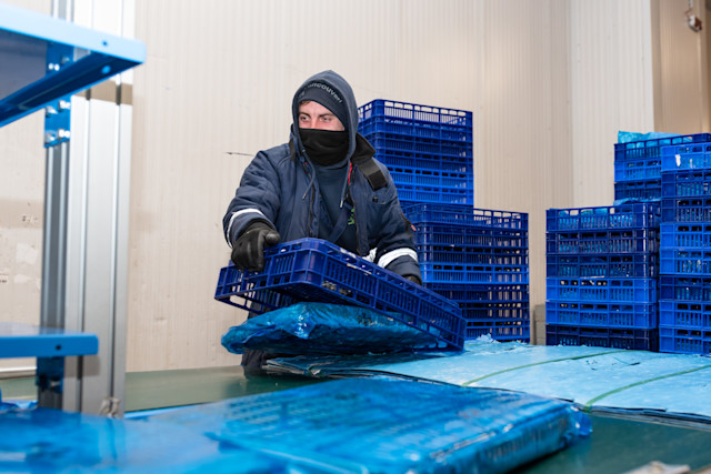 Handling: Services and Key Roles in the Industry