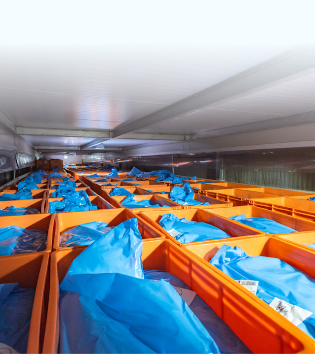 Gallery-header-02 - tunnel