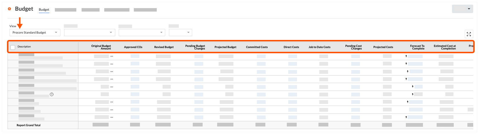 budget-standard-budget-view