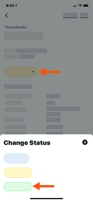 timecard-entry-reviewed-to-approved.png