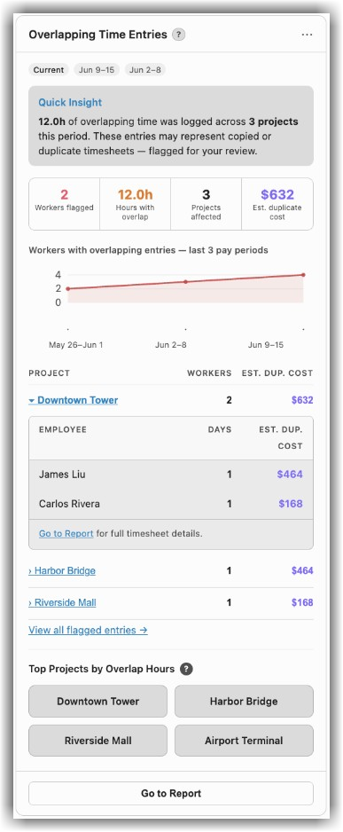 This screenshot is an example of the company-level Overlapping Time Entries Insights tool.