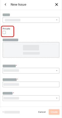 This image shows the Private check box in the New Issues form of the Project level Coordination Issues tool.