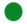 icon - green - circle