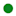 icon-green-circle-pfcp.png
