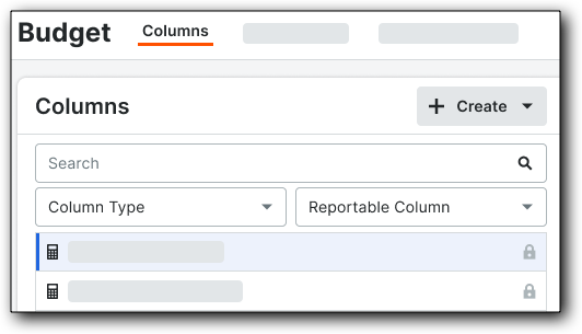 budget-column-search-filter