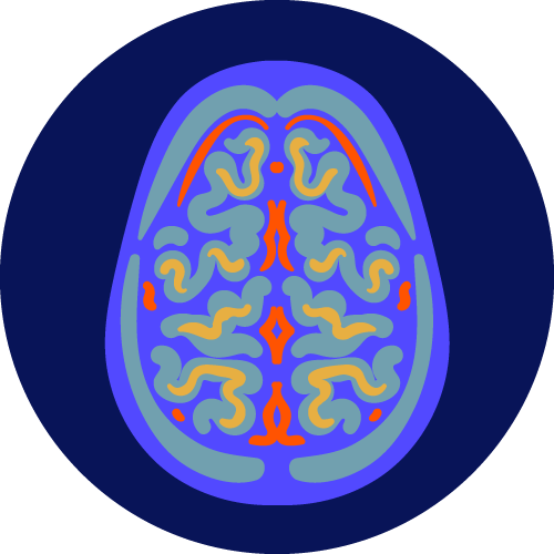 illustration of a brain scan