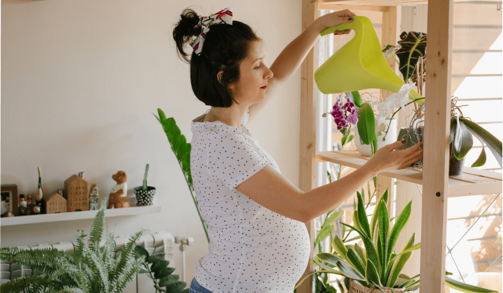 Pregnant person watering plants