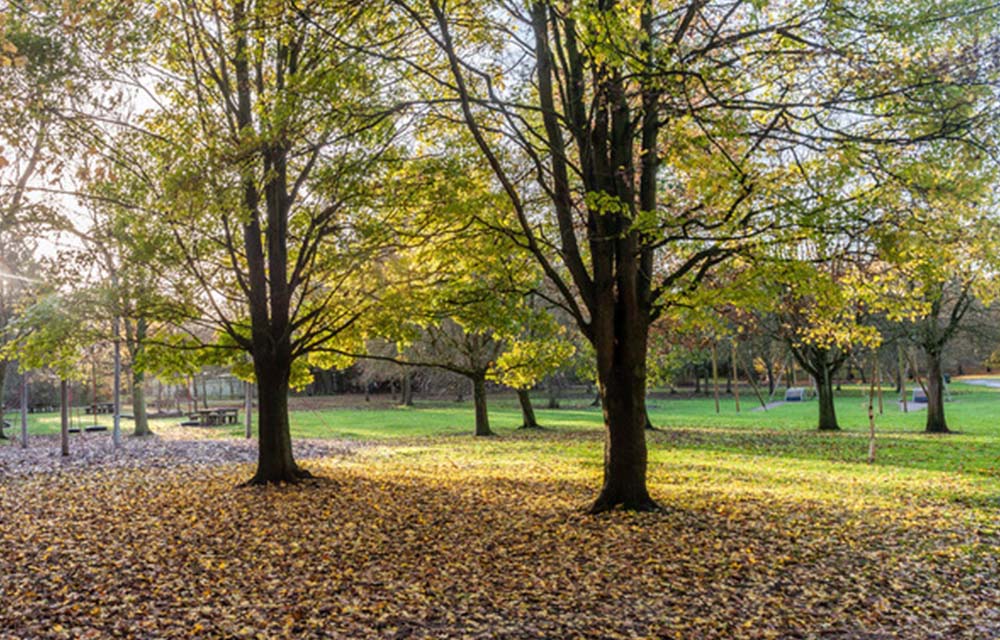 Image of green space in Sherburn in Elmet