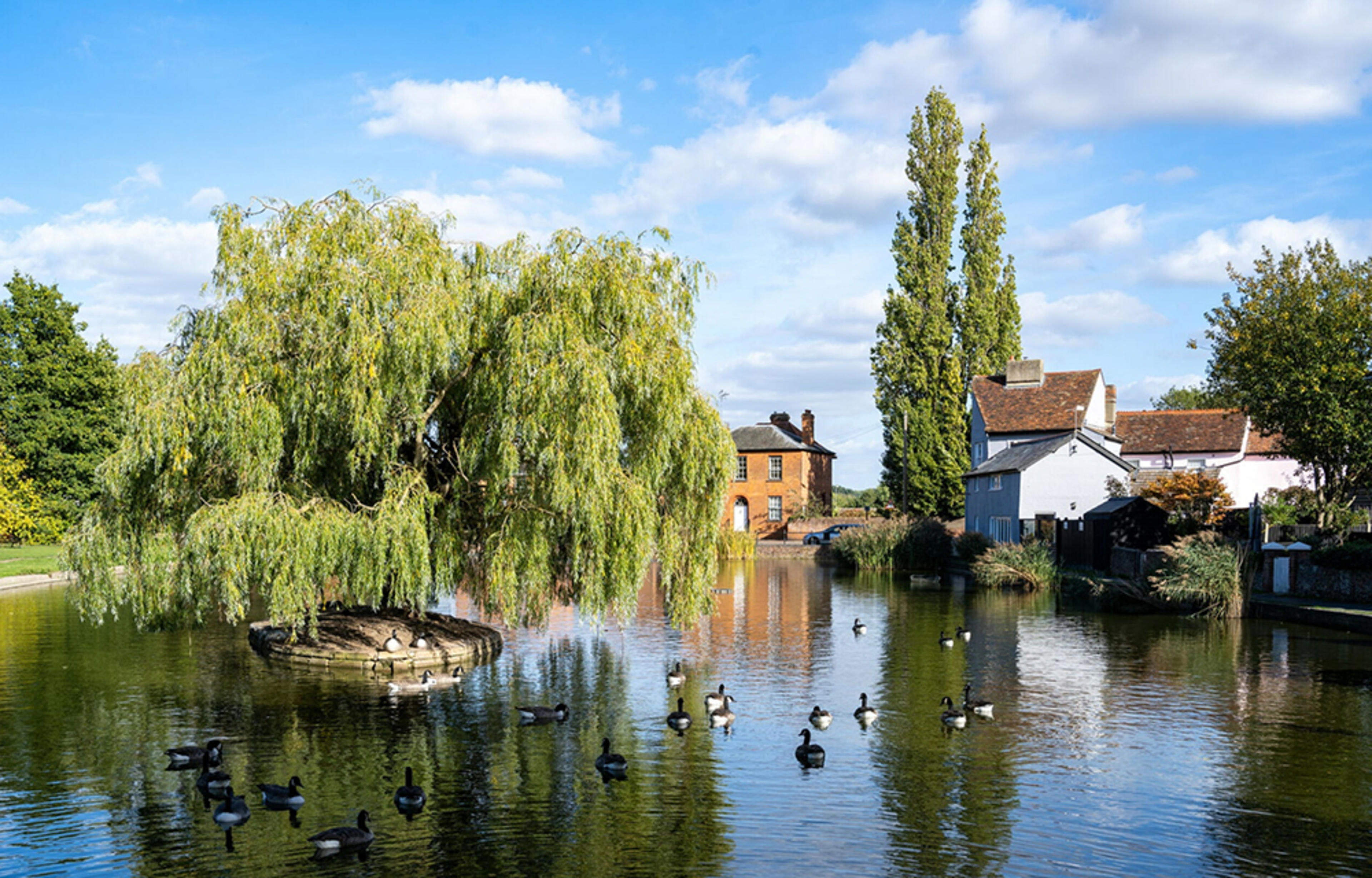 the-meadows-at-felsted-persona-homes-local-area-5