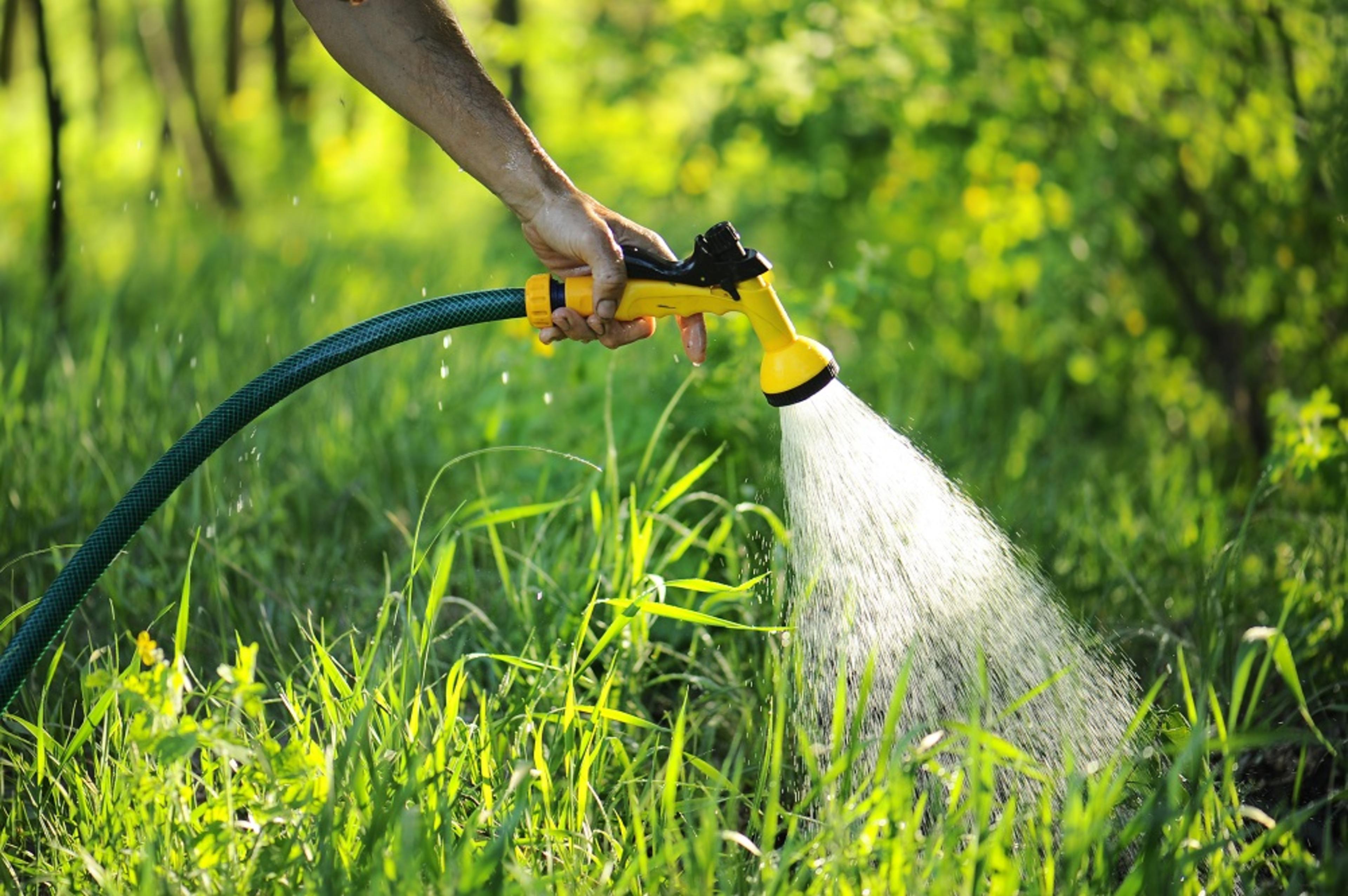 Customer Care - garden