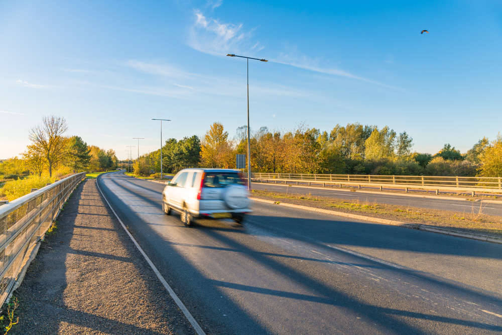 Scholar's Garden - Connections