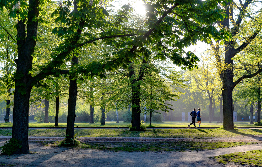 persona-homes-stirling-fields-nature