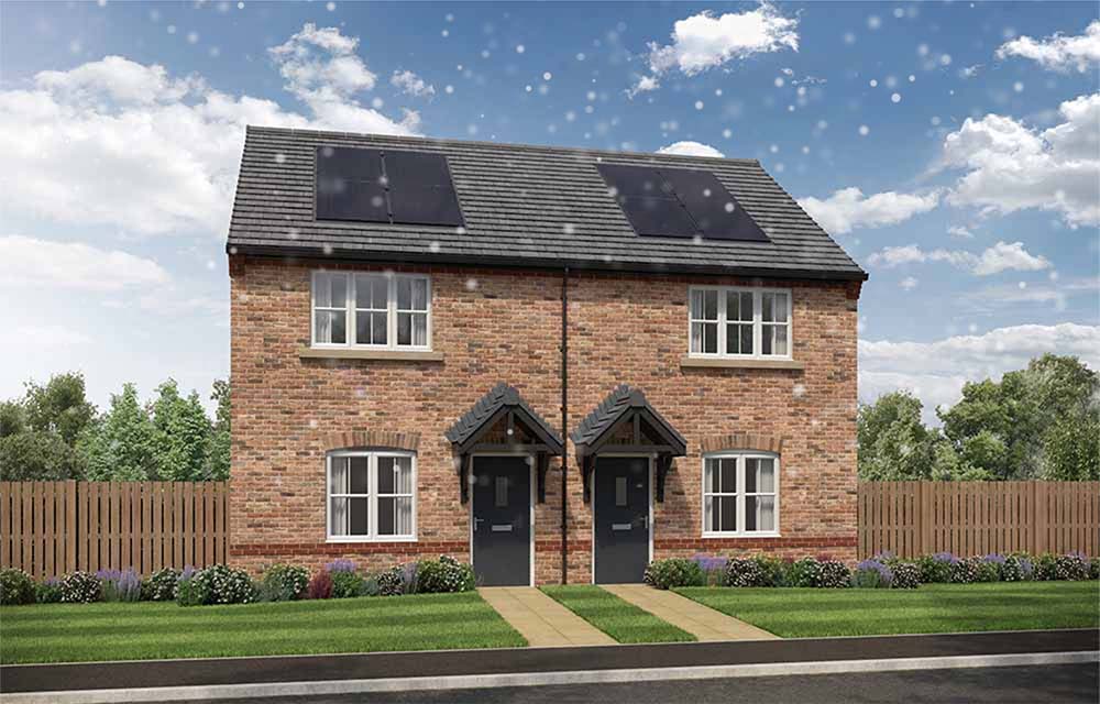 sadler Woods - Snowing