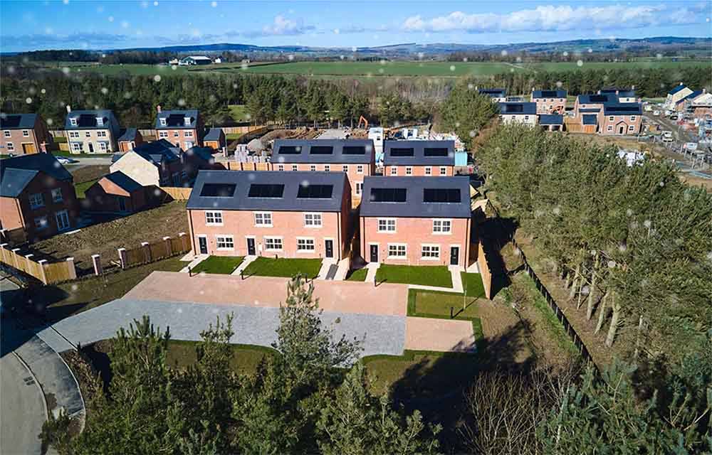 Burgham Park Gardens - Snowing