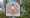 staggs-farm-persona-homes-local-area-2