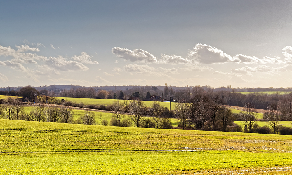 Staggs Farm - nature