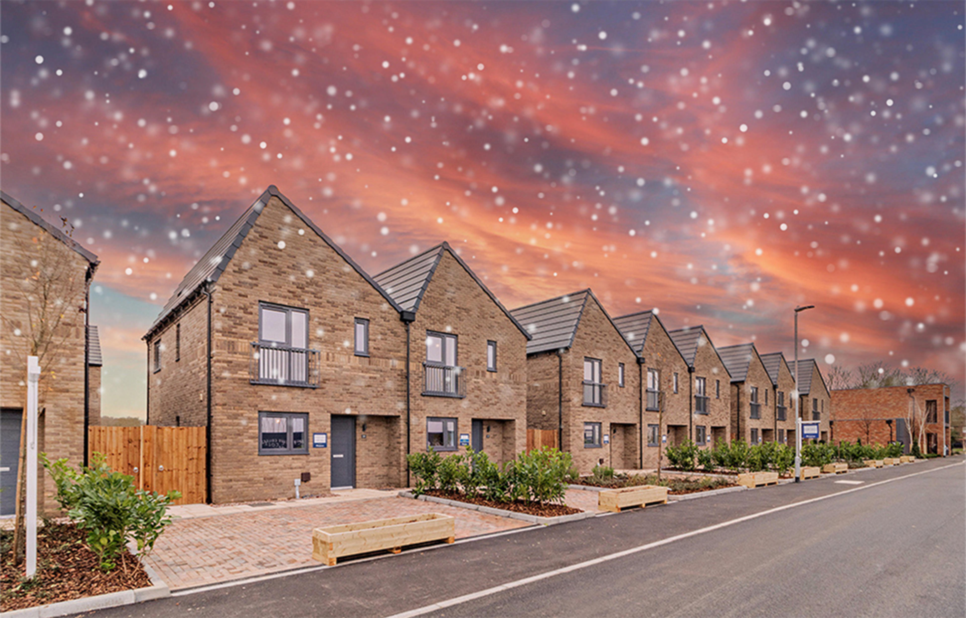 Stirling-Fields-snow