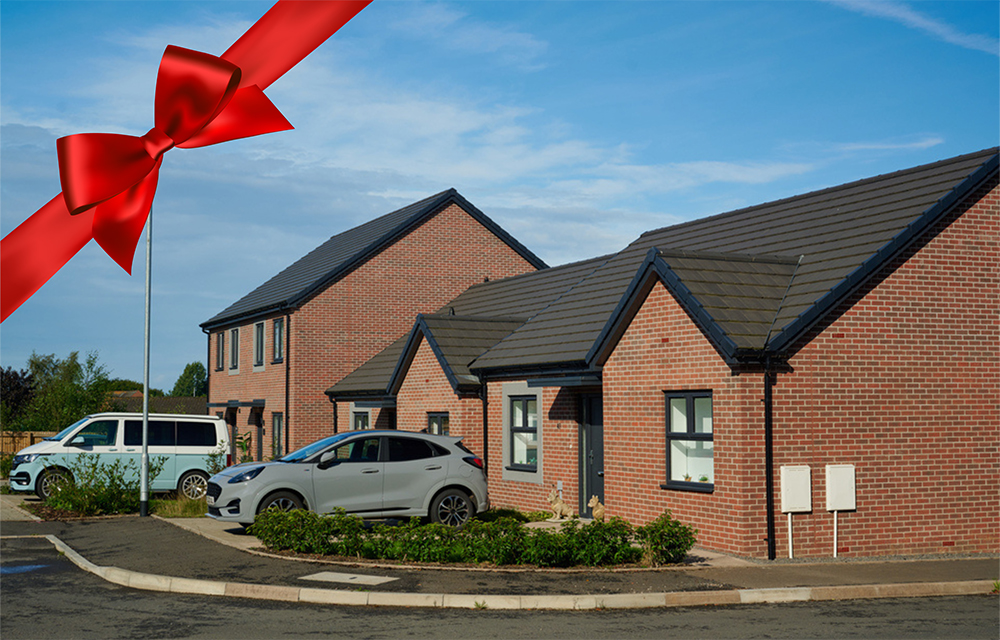 Woolner-Brook-Athena=bow