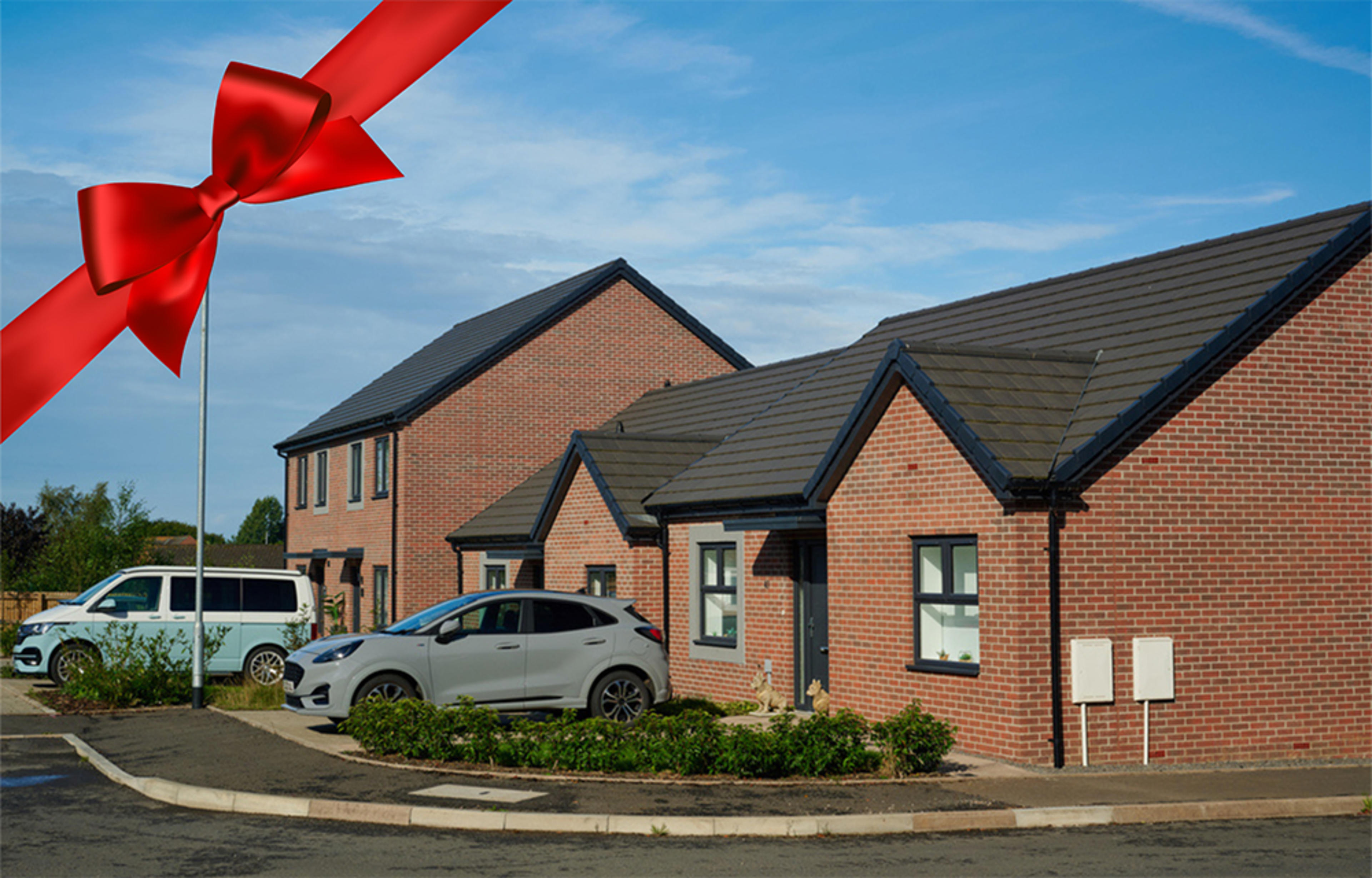 Woolner-Brook-Athena=bow