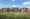 persona-homes-the-salterns-street-scene-2