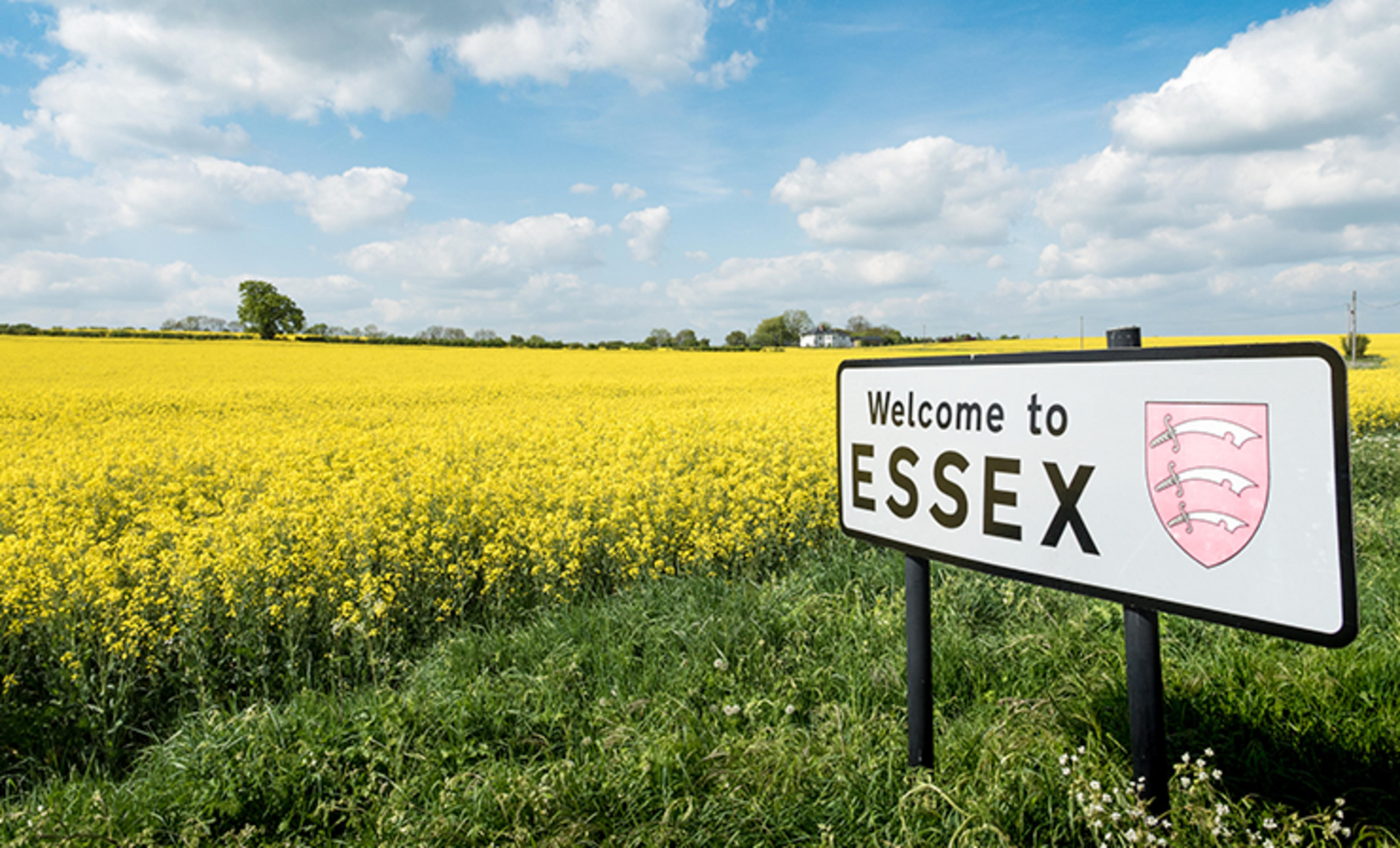 The Brycewood and Myeswod Collection  - Welcome to Essex sign