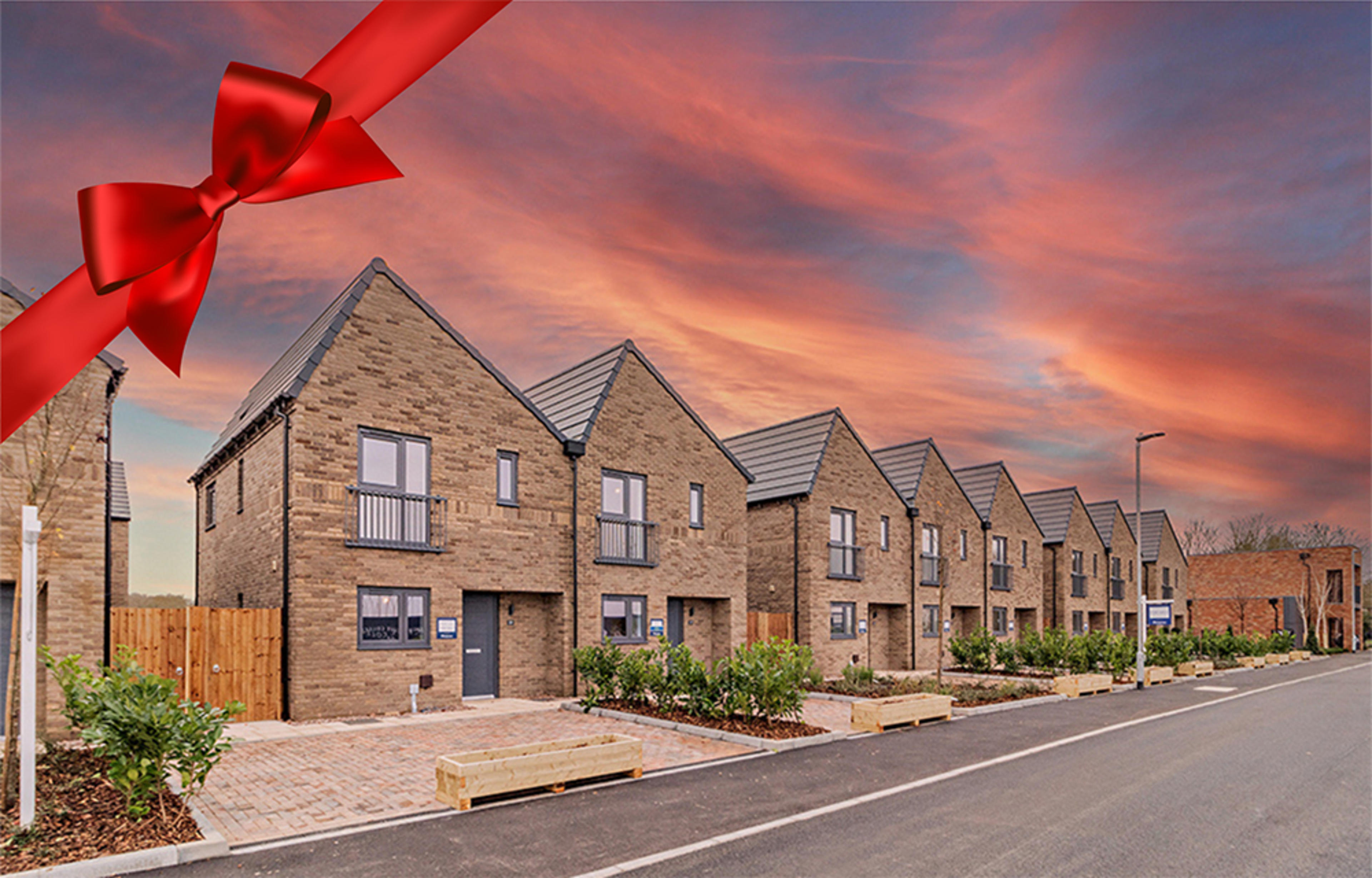 Stirling Fields - Lancaster - bow