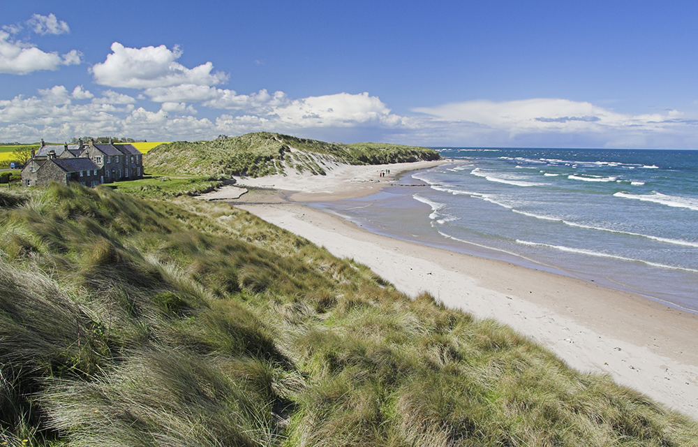 king-edwards-park-coast