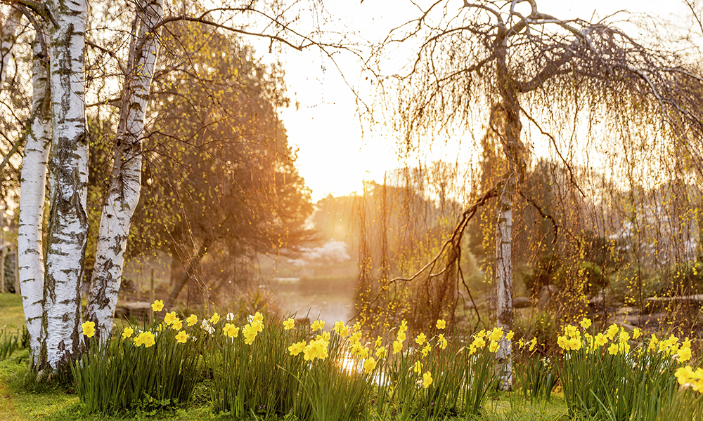 Regents Park is one of London's best known parks and within easy reach of NWQ